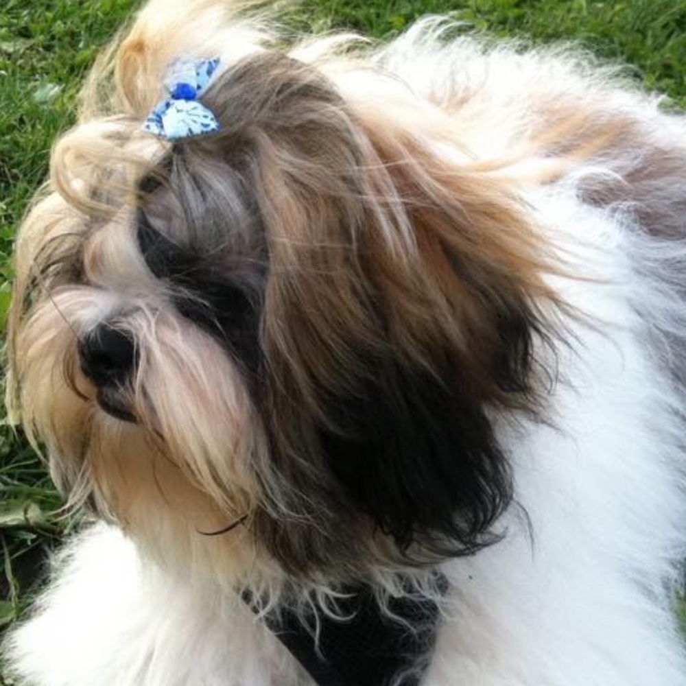 Meet your Posher, Gigi